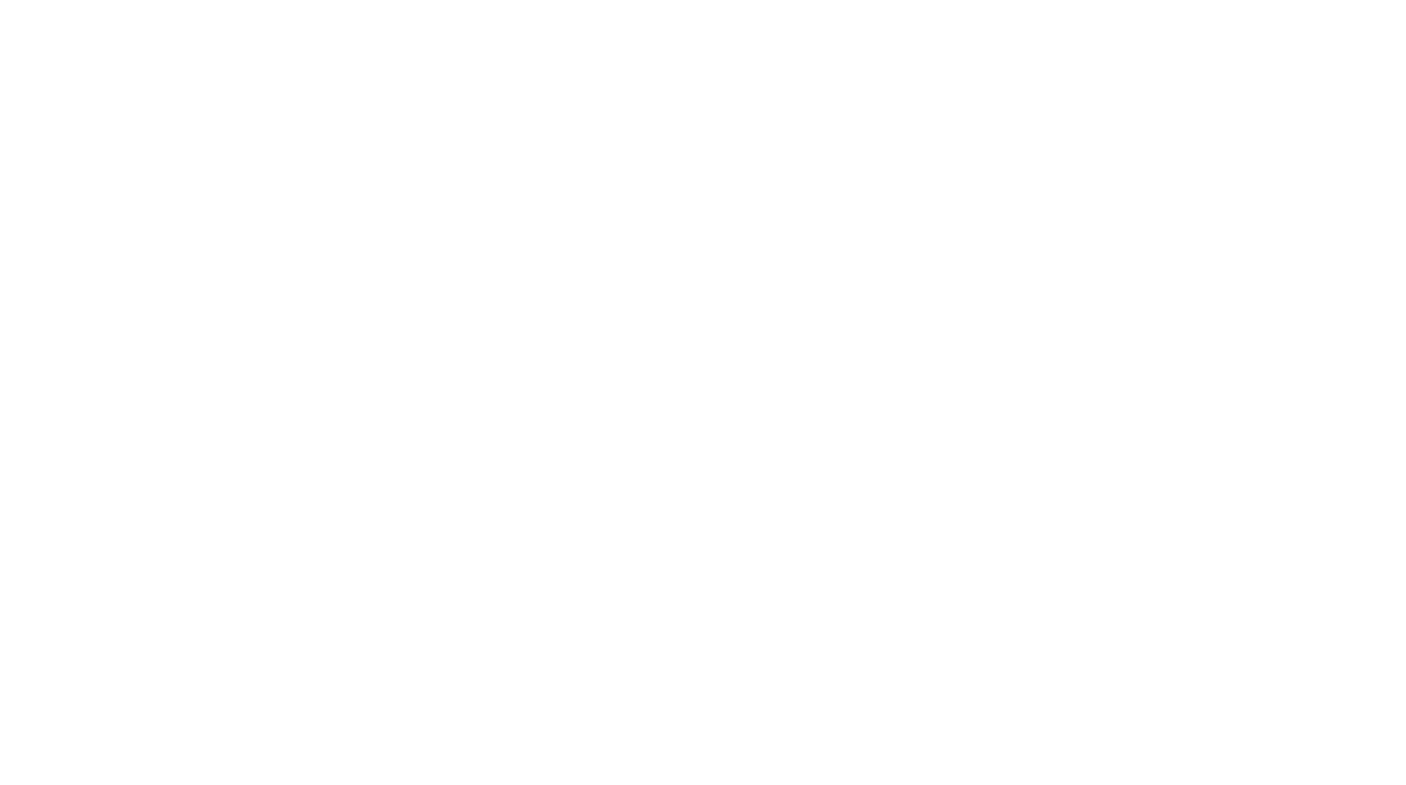 WHITE STACKED SW LOGO