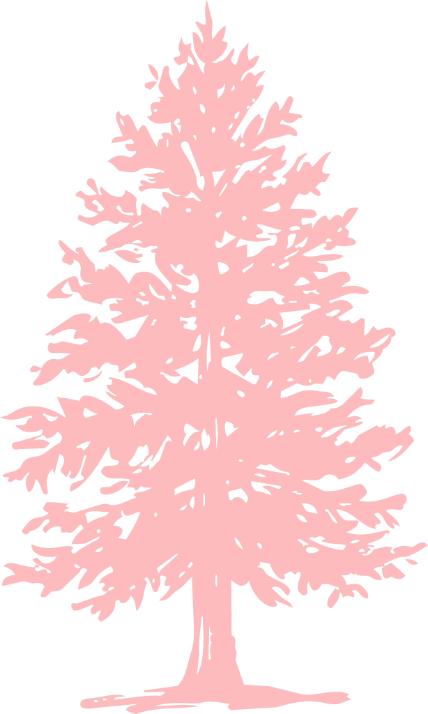 Western-Larch-(Larix-occidentalis)_1