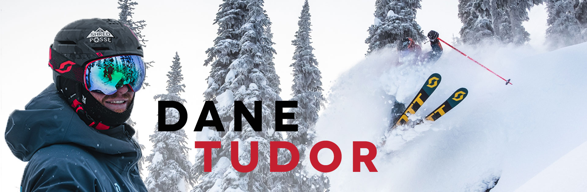 DaneTudor-banner-img