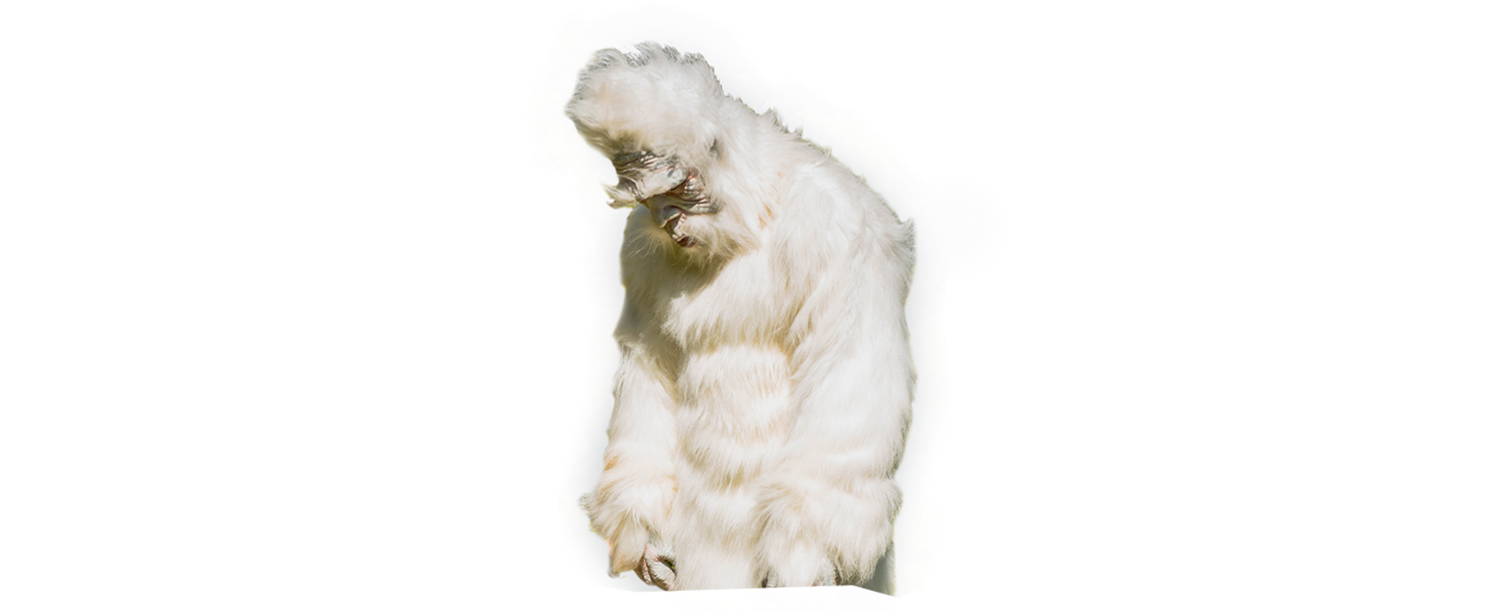 yetiDesktop
