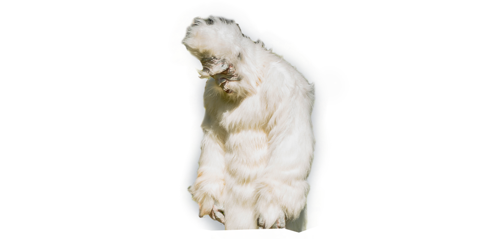yeti_